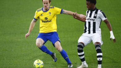 Λεβάντε – Κάντιθ