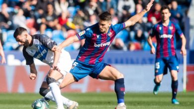 Λεβάντε - Ράγιο Βαγιεκάνο